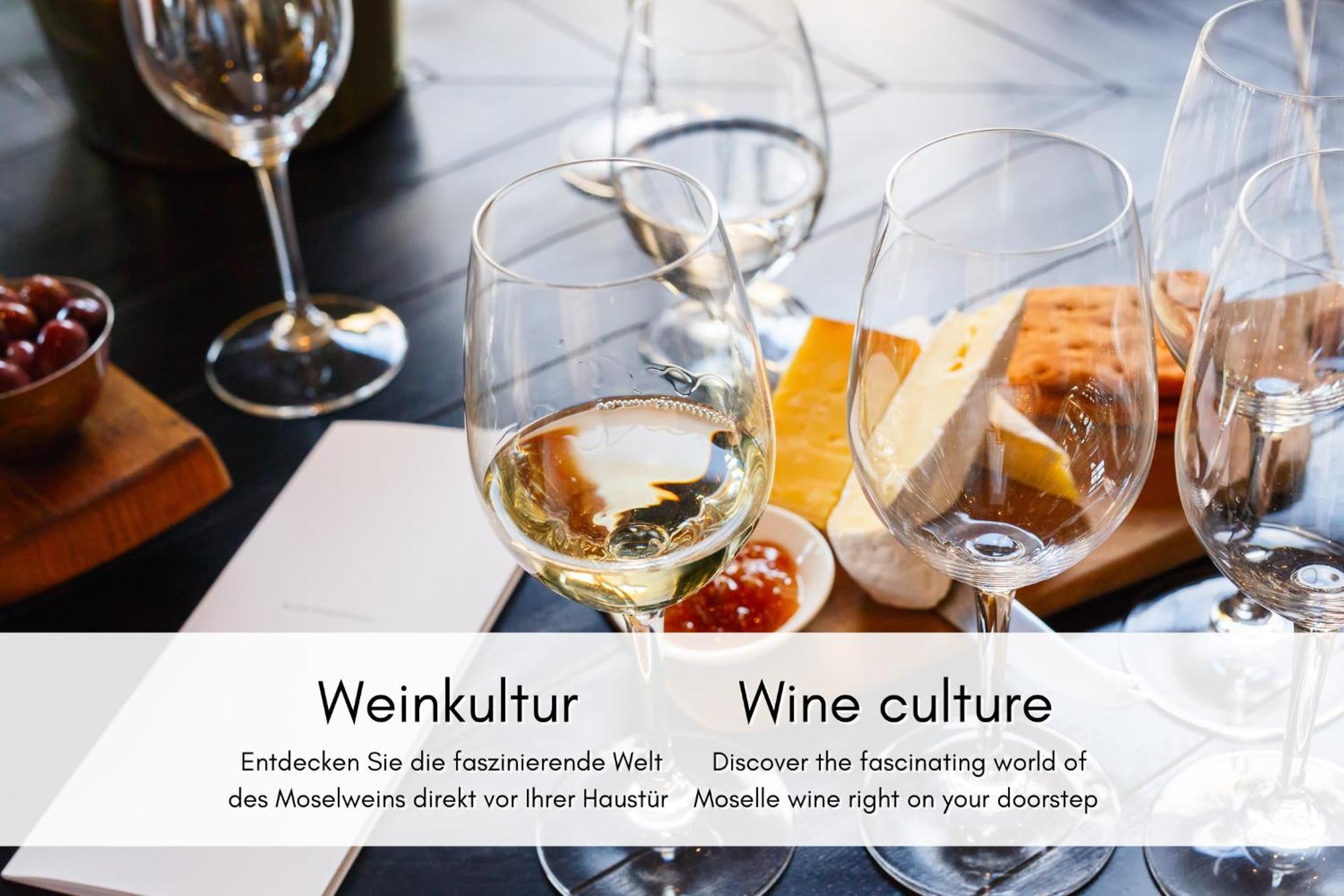 Winzerhaus Am Calmont - Terrasse Der Ruhe Leilighet Bremm Eksteriør bilde