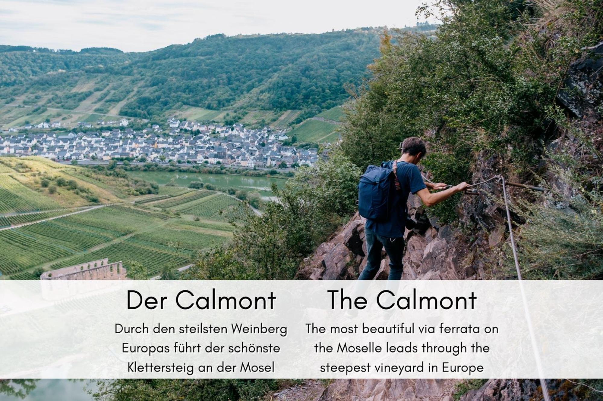 Winzerhaus Am Calmont - Terrasse Der Ruhe Leilighet Bremm Eksteriør bilde